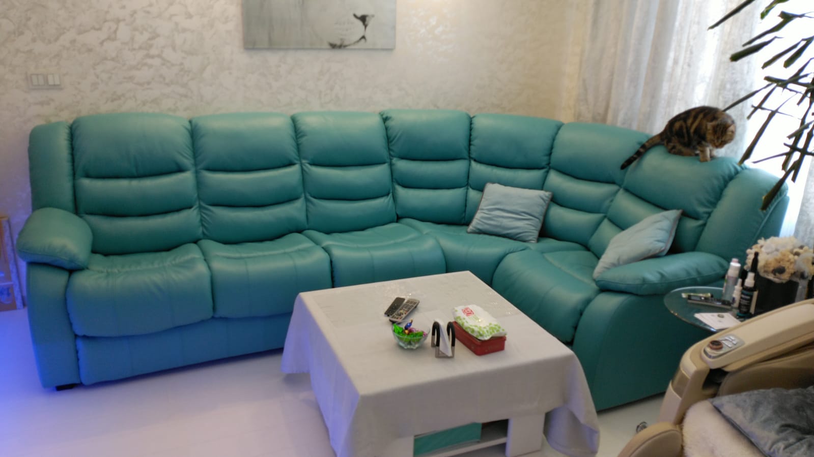 Перетяжка дивана на дому. Петрово-Дальнее